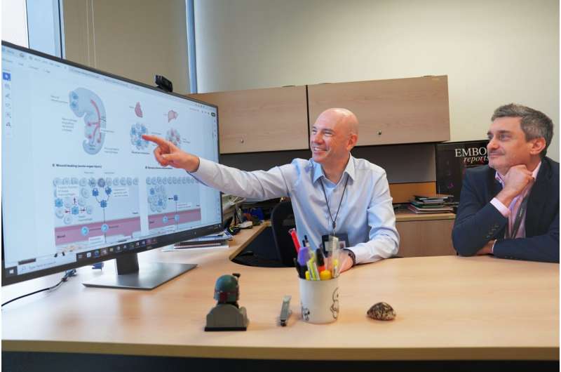 Researchers compile 'handbook' to fast-track breakthroughs in scarring research