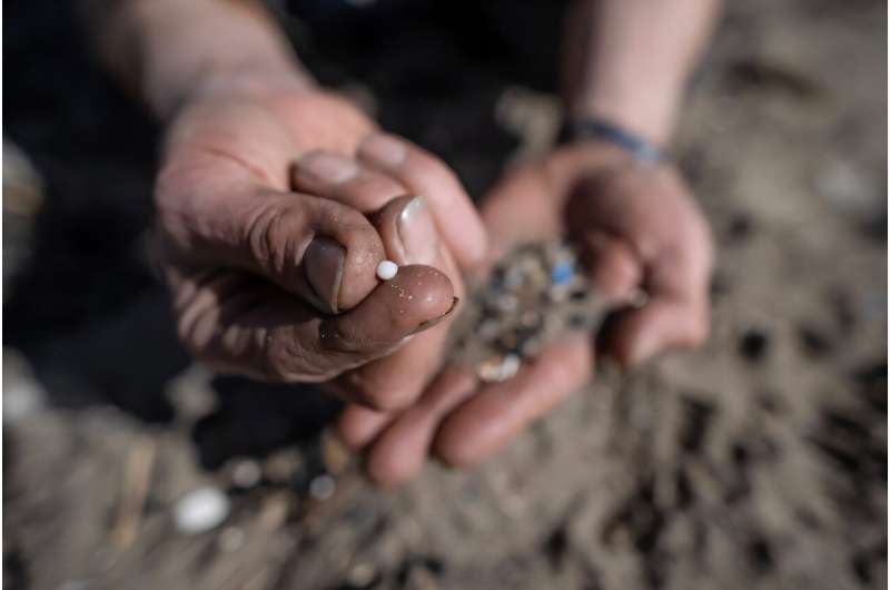 Microplastics have been found everywhere from the top of the mountains to the bottom of the sea. Microplastics have been found everywhere from the top of the mountains to the bottom of the sea